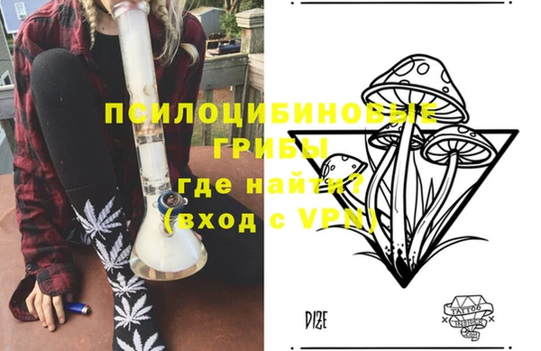 2c-b Кукмор